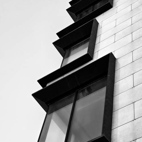 Photo #13664562