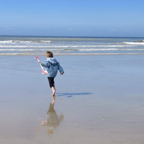 Photo #13664569