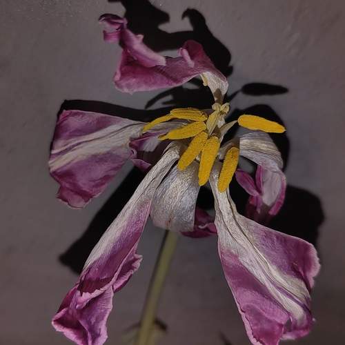 Photo #13664576