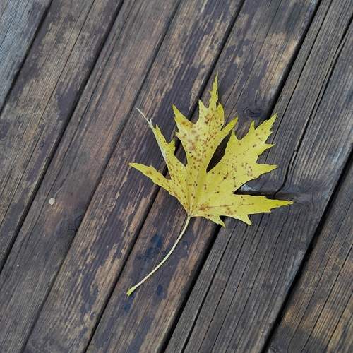 Photo #13664620
