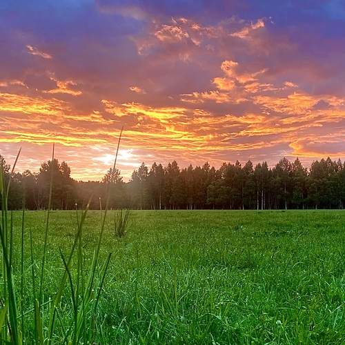 Огненное утро
