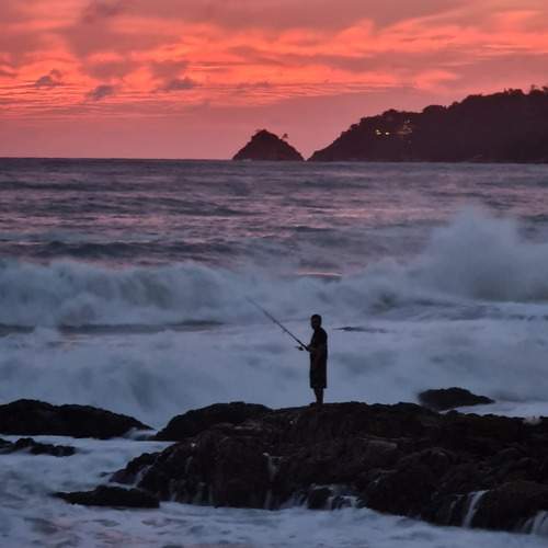 Photo #13664794