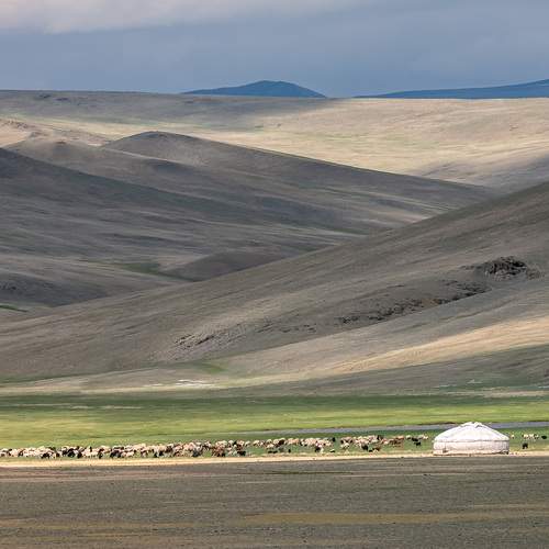 Photo #13664796