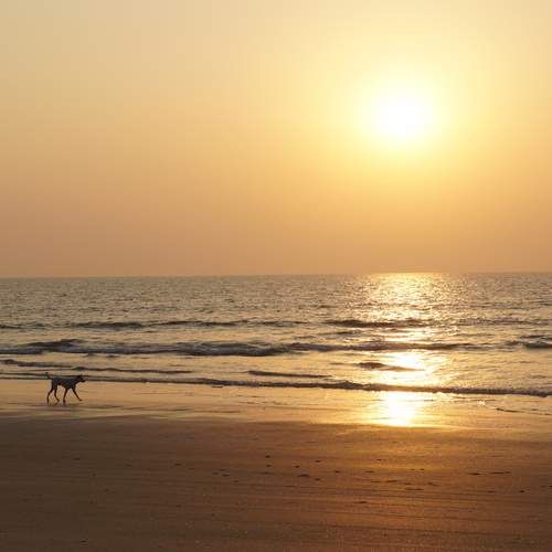 Photo #13664798