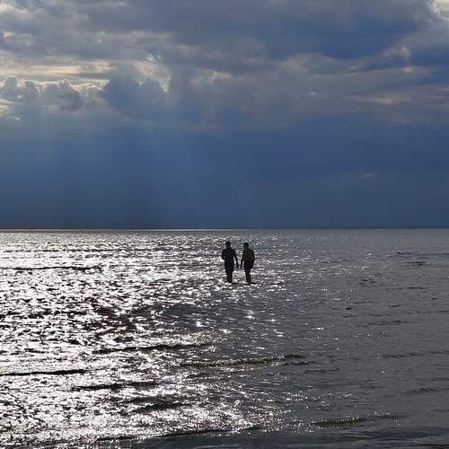 Photo #13664824