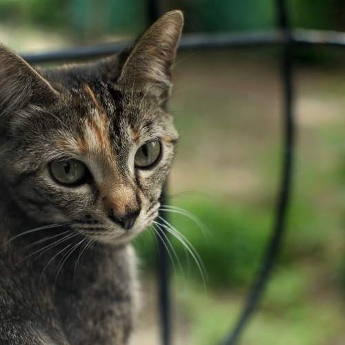 Photo #13664833