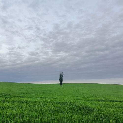 Photo #13664887
