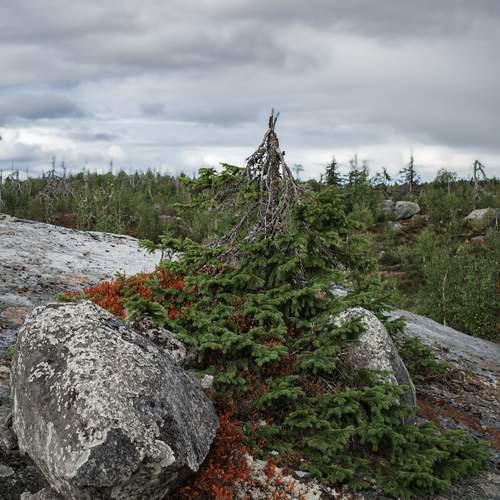 Photo #13664912