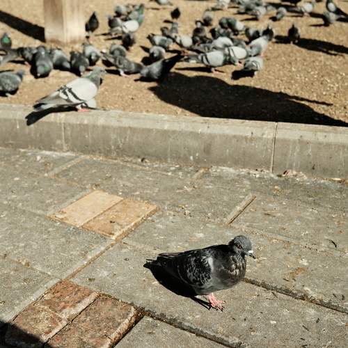 Photo #13664940