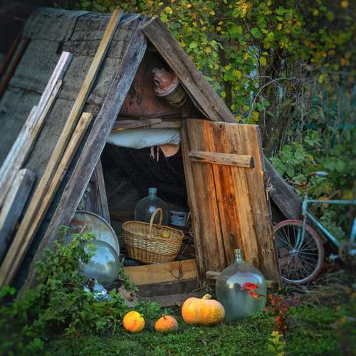 Photo #13665220