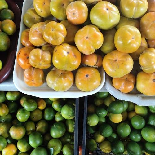 Photo #13665225