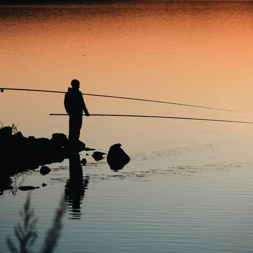 Photo #13665234