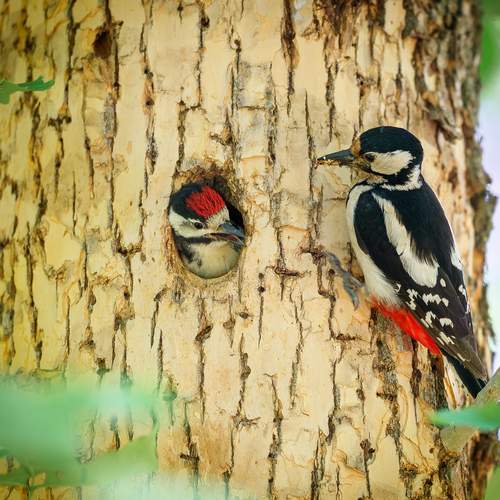 Photo #13665243