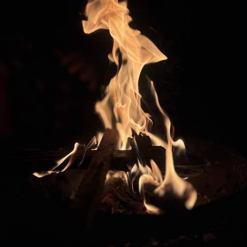 Photo #13665395