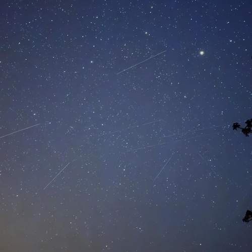 Photo #13665422