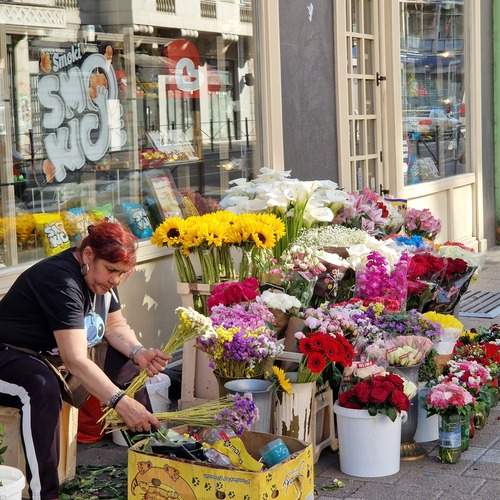 Photo #13665477