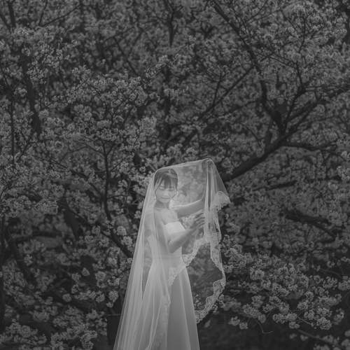 Photo #13665511