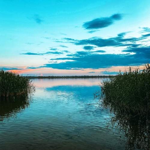 Photo #13665559