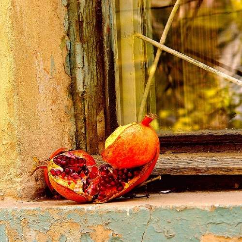 Photo #13665768
