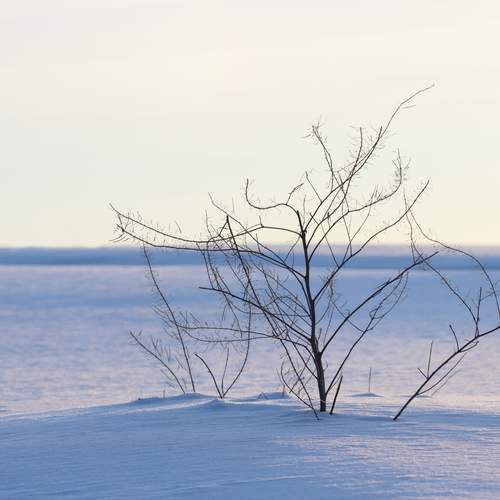 Photo #13665770