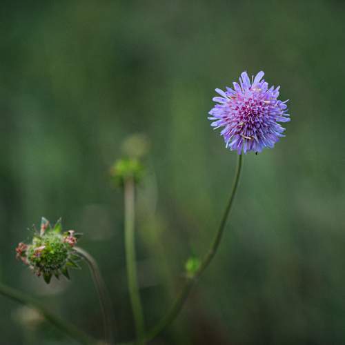 Photo #13665808