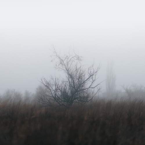 Photo #13665952
