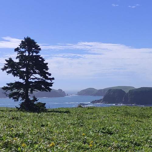 Photo #13665986