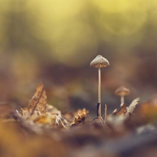 Photo #13666054