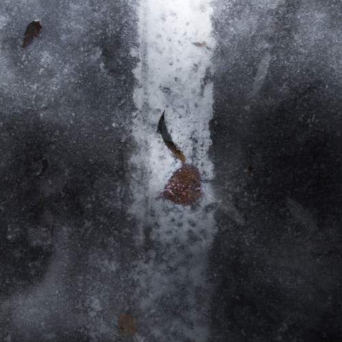 Photo #13666112
