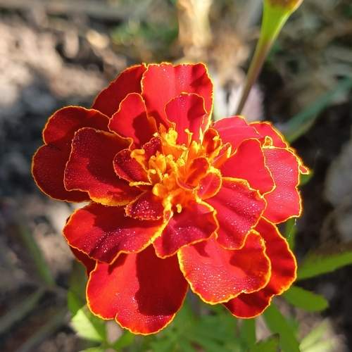 Photo #13666267