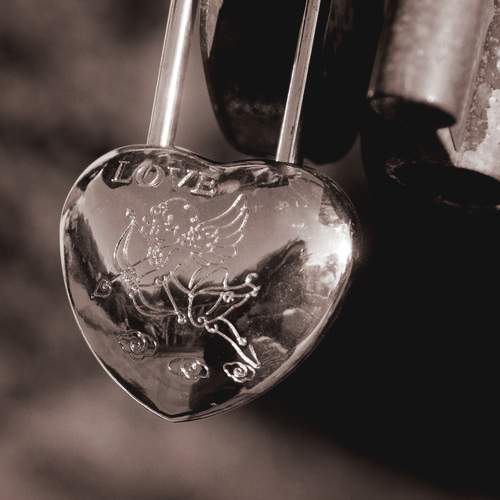 Photo #13666275