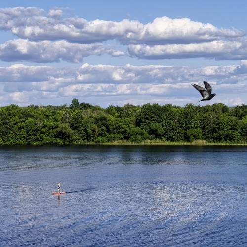 Photo #13666277