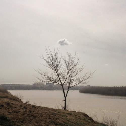Photo #13666327