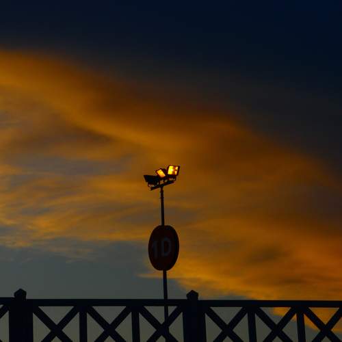 Photo #13666481