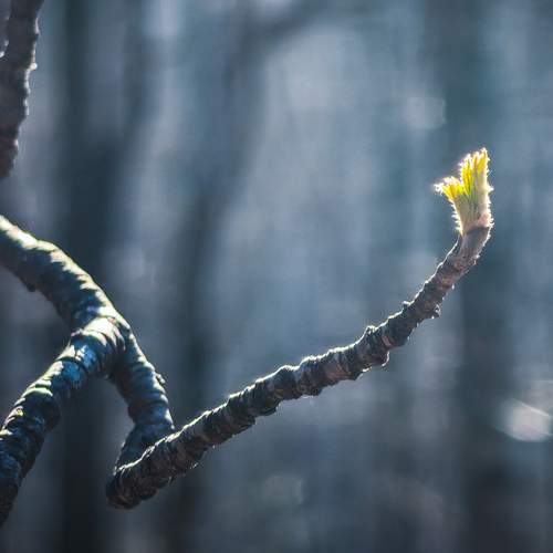 Photo #13666642