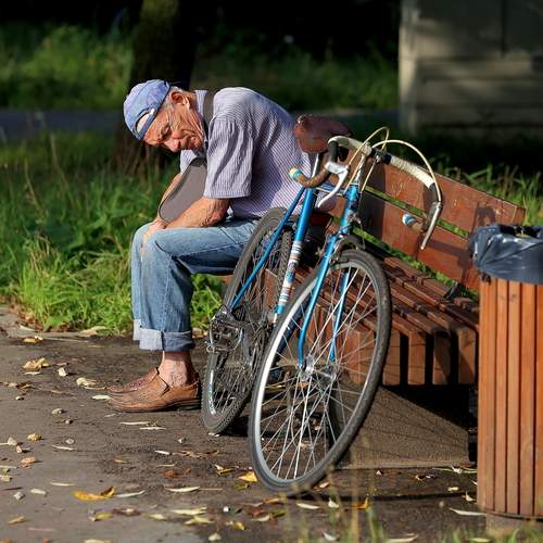 Photo #13666727