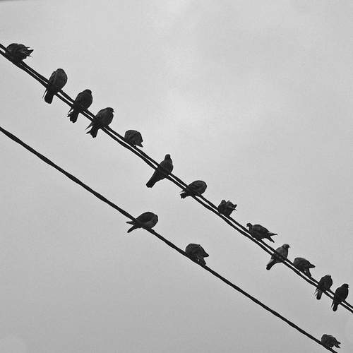 Photo #13666780