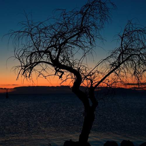 Photo #13666798