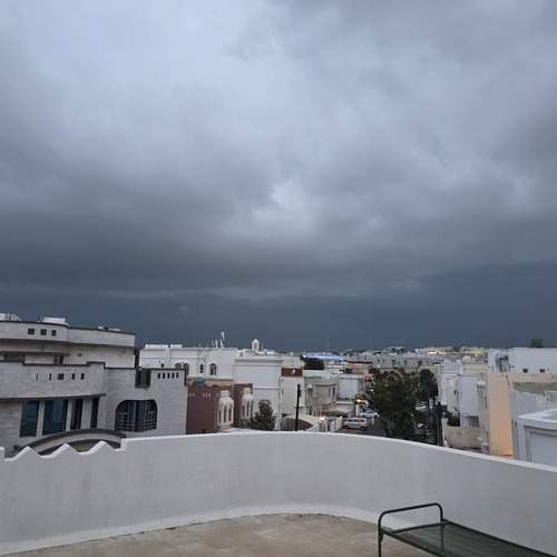 Photo #13666894