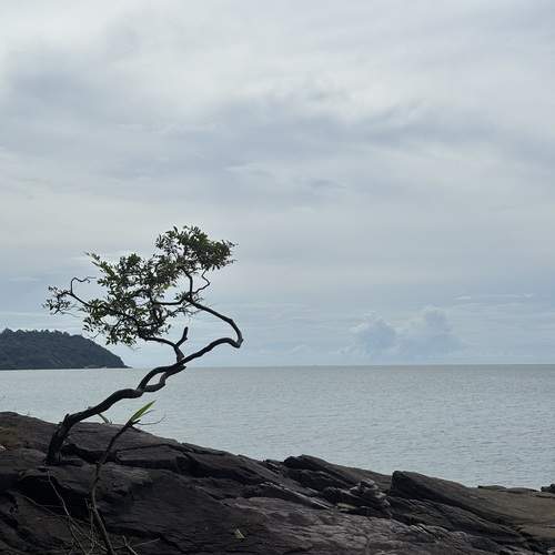 Photo #13666947