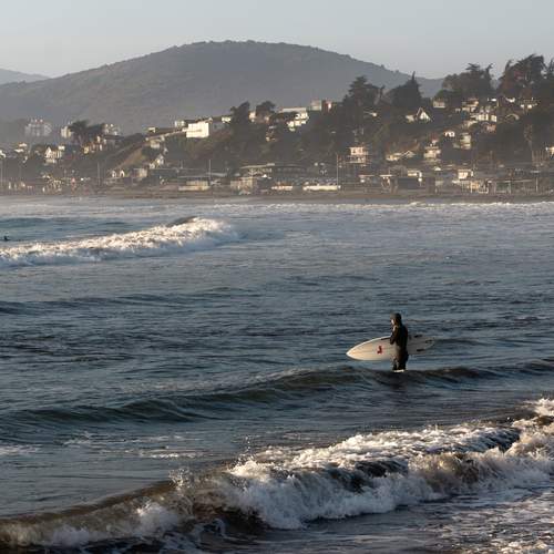 Photo #13667001