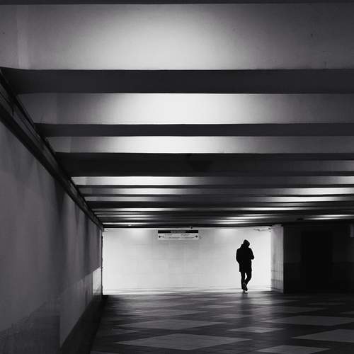 Photo #13667027