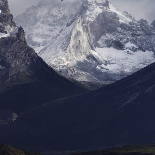 Фотография #13667045
