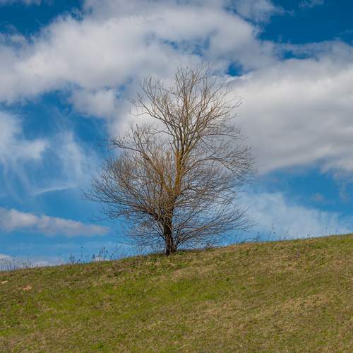 Photo #13667062