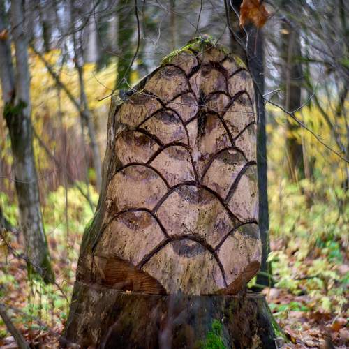 Photo #13667093