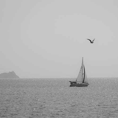 Photo #13667129