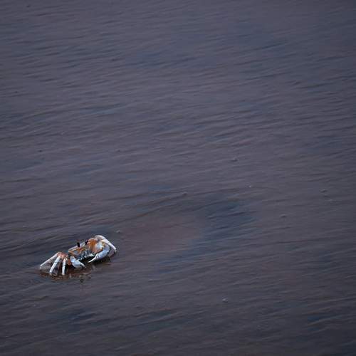 Photo #13667158