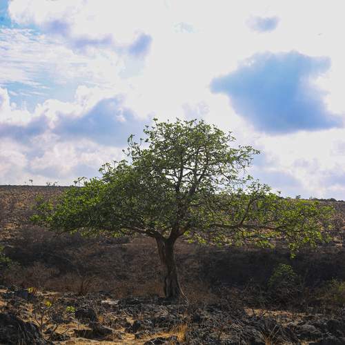 Photo #13667223