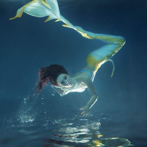 Photo #13667274