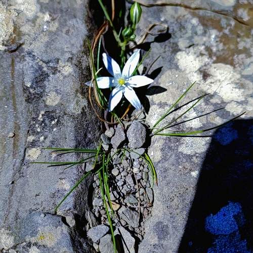 Photo #13667383
